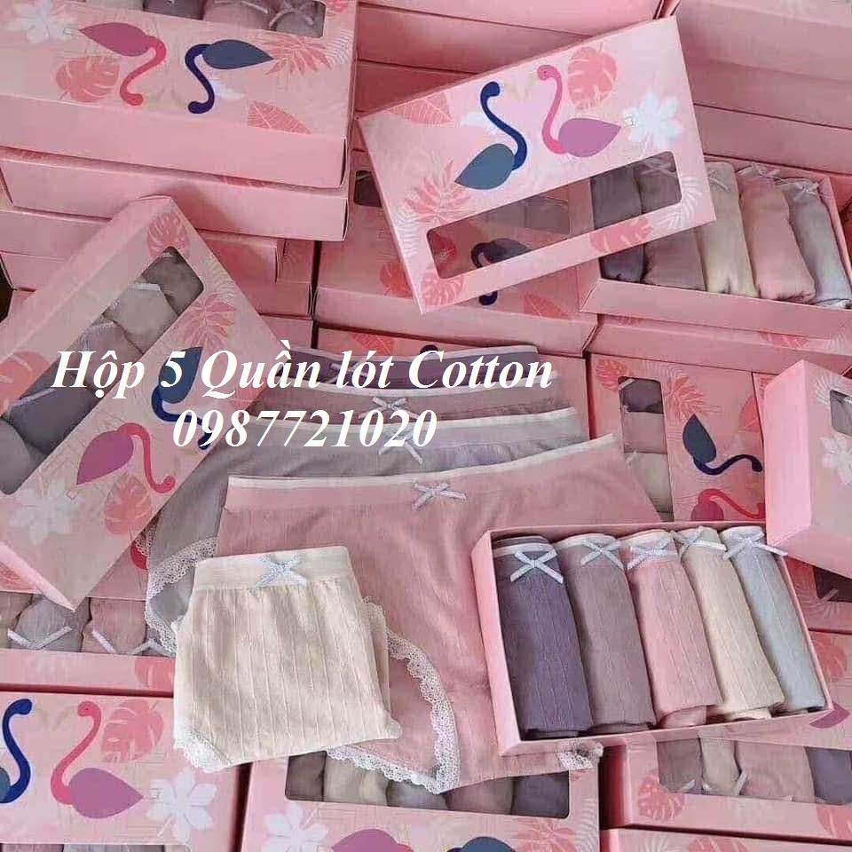 Video| Ảnh thật | Hộp 5 quần lót Cotton Chất mát Hàng đẹp HappyShop888