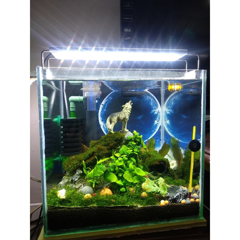 Chó sói hú ( nhựa chìm)