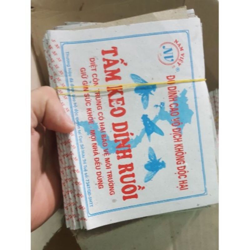 Keo dính ruồi - combo 10 tấm