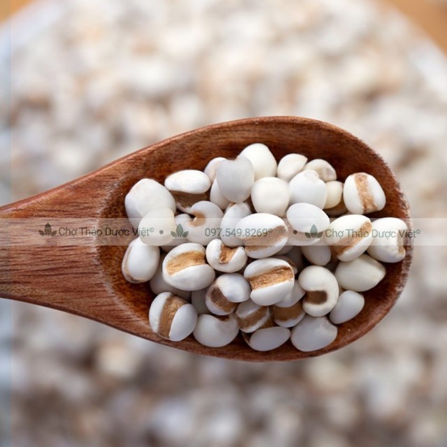 Y Dĩ Nếp Hạt To 100g