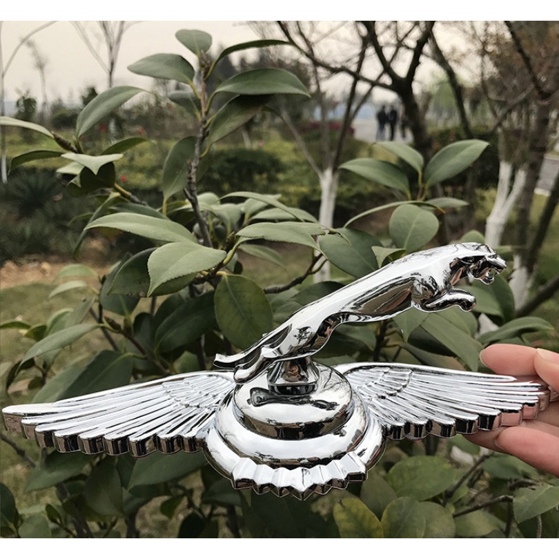 Logo mui ô tô cánh chim 2 màu VÀNG BẠC loại lớn dán nắp capo đủ hãng xe hơi DÒNG CAO CẤP PHỦ BÓNG