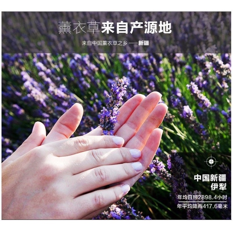 Túi Thơm Hoa Oải Hương Lavender