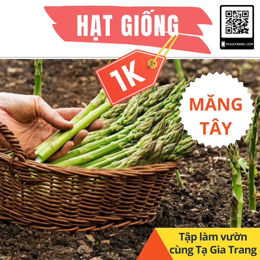 Deal 1K Tập Sự Làm Vườn - Hạt giống măng tây xanh F1