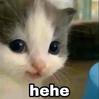 hai_nguyet13