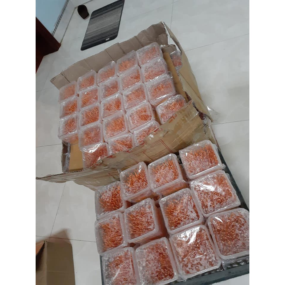 5 Hộp Đông Trùng Hạ Thảo Tươi (200g/hộp)