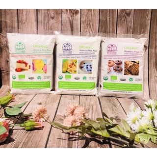 BỘT NẾP/BỘT GẠO HỮU CƠ XAY ƯỚT THÁI LAN