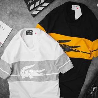 Áo thun lacoste