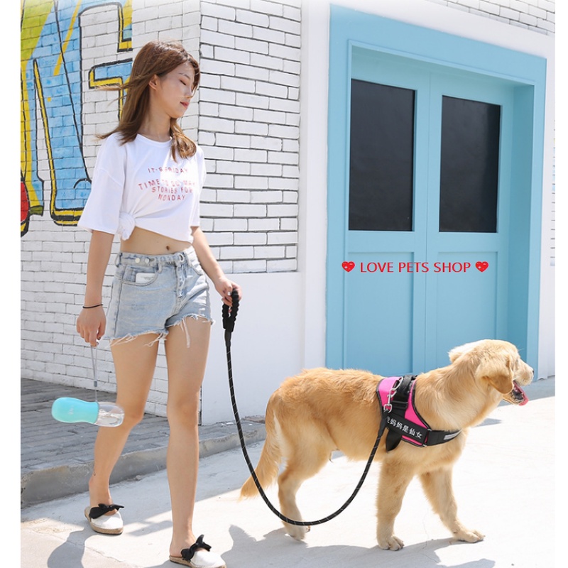 DÂY DẮT CHÓ PHẢN QUANG CÓ LÒ SO TRỢ LỰC (CHỈ CÓ DÂY) -  LOVE PETS SHOP