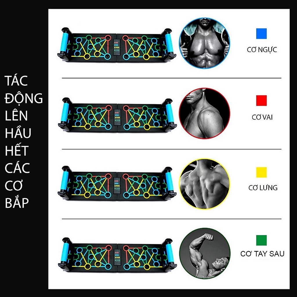 Dụng Cụ Hít Đất Hỗ Trợ Chống Đẩy Đa Năng 16 - 20 trong 1 - Bảng Chống Đẩy Đa Năng Nhiều Bài Tập SP010 Hãng Amalife