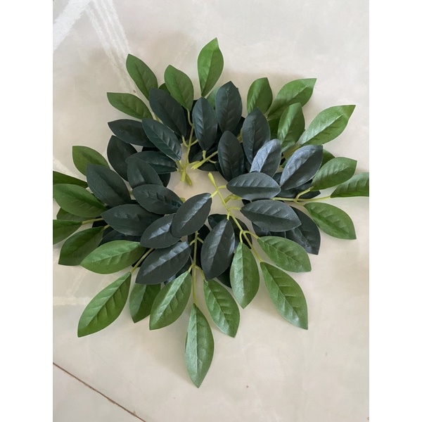 Combo 3 bó  bồ công anh gân xanh  hàng loại tốt/ lá lộp lụp chim cu gáy