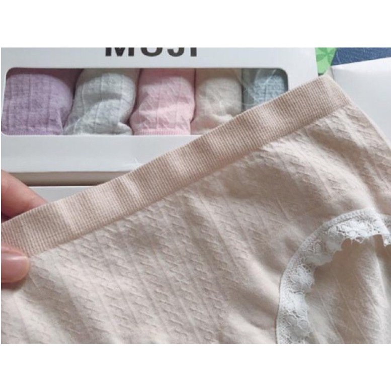 HỘP 5 Quần Lót Nữ Cotton Dệt Kim - Quần Chip Nữ kháng khuẩn thoáng mát cao cấp QL11