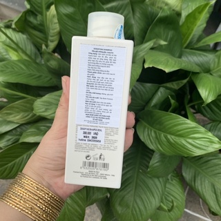 DẦU GỘI CHĂM SÓC TÓC RỤNG VÀ KÍCH THÍCH MỌC TÓC FRAMESI Morphosis Densifying 250ml