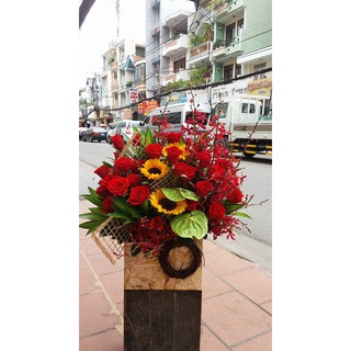 Set làm hoa lan Mokara