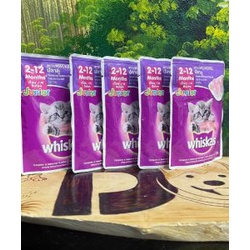 Combo Pate Whiskas Junior cho mèo con vị cá ngừ cá thu 80g