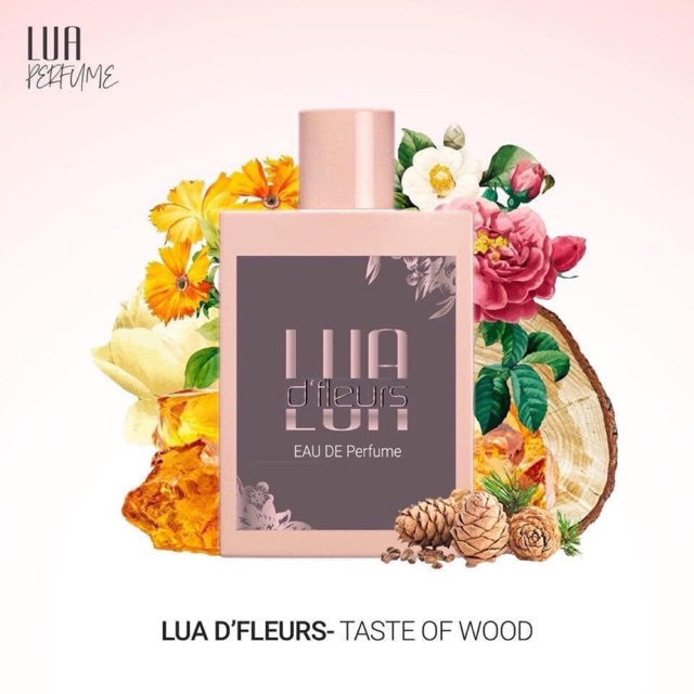 [BÁN SỈ] [GIÁ RẺ NHẤT] XẠ HƯƠNG MỘC 50ml – DẪN LỐI CẢM XÚC