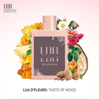 [BÁN SỈ] [GIÁ RẺ NHẤT] XẠ HƯƠNG MỘC 50ml – DẪN LỐI CẢM XÚC