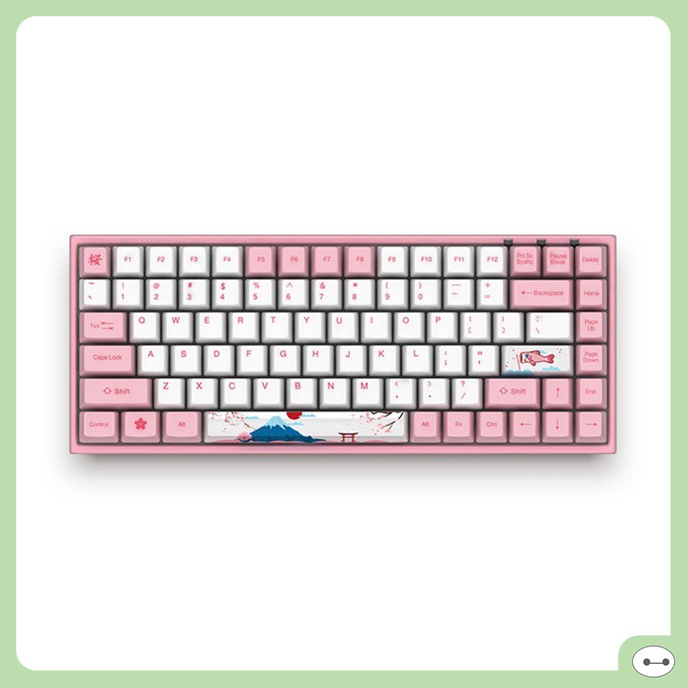 BÀN PHÍM CƠ AKKO 3084 ( AKKO SW ) CÁC PHIÊN BẢN | BigBuy360 - bigbuy360.vn