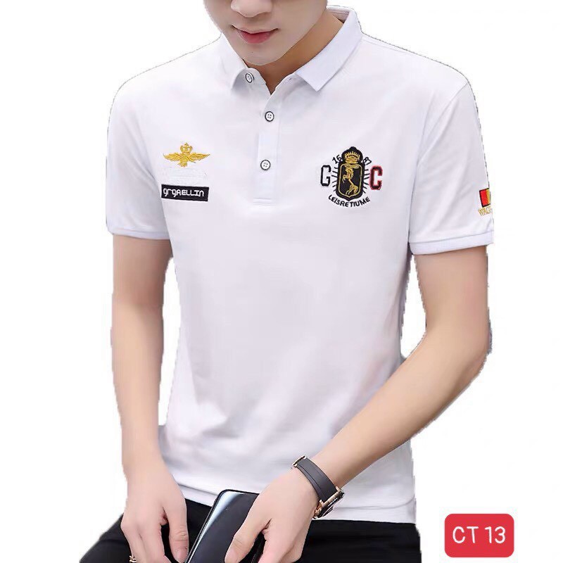 Áo thun nam tay ngắn có cổ- áo phông nam cổ bẻ chất coton co giãn nhiều mẫu PN ms14