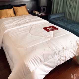 Ruột chăn Muji loại dày (2mx2m2)