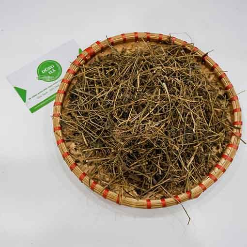 Giảo cổ lam khô hảo hạng đóng gói 500gr loại 1