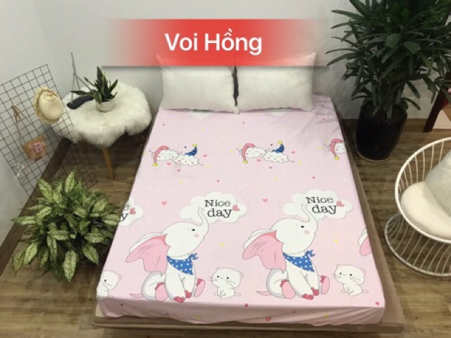 Siêu phẩm Ga Chống Thấm Vải Cotton Cao Cấp -&gt; sử dụng trực tiếp -&gt; đủ size /được chọn mẫu