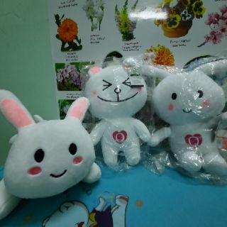 Thỏ bông trắng, thỏ bông cony