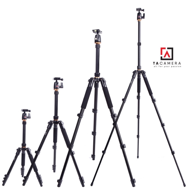 Chân máy ảnh - Tripod & Monopod 2in1 Beike Q555