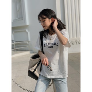 Áo Pull Harvard ngắn tay AP454 1994closet