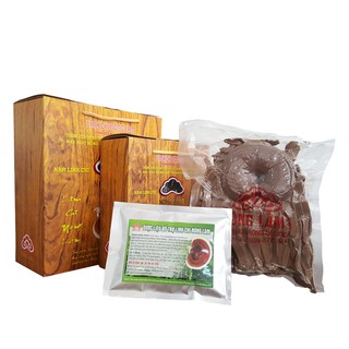 Nấm linh chi Nông Lâm (Loại cao cấp)