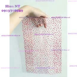 1kg Túi hột xoài trong suốt / túi nilon in hình trong suốt / bao nilon trong - Plastic bag