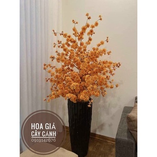 Combo 5 cành đào mỹ