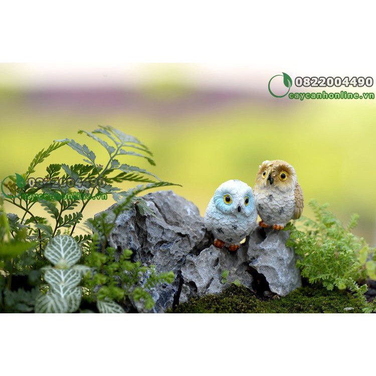 Chim cú mèo - tượng trang trí tiểu cảnh trang trí bàn làm việc - phụ kiện tiểu cảnh