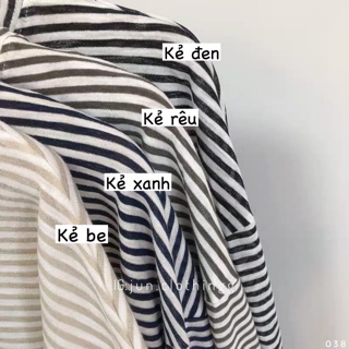 Crt giấy kẻ ngang 038