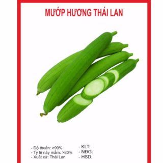 Hạt giống mướp hương 10 hạt