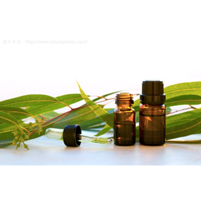 Tinh dầu Bạch đàn Aroma 10ml