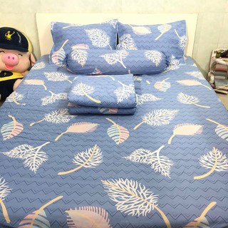 Bộ drap cotton hàn quốc: 1 drap, 2 vỏ nằm, 1 vỏ ôm