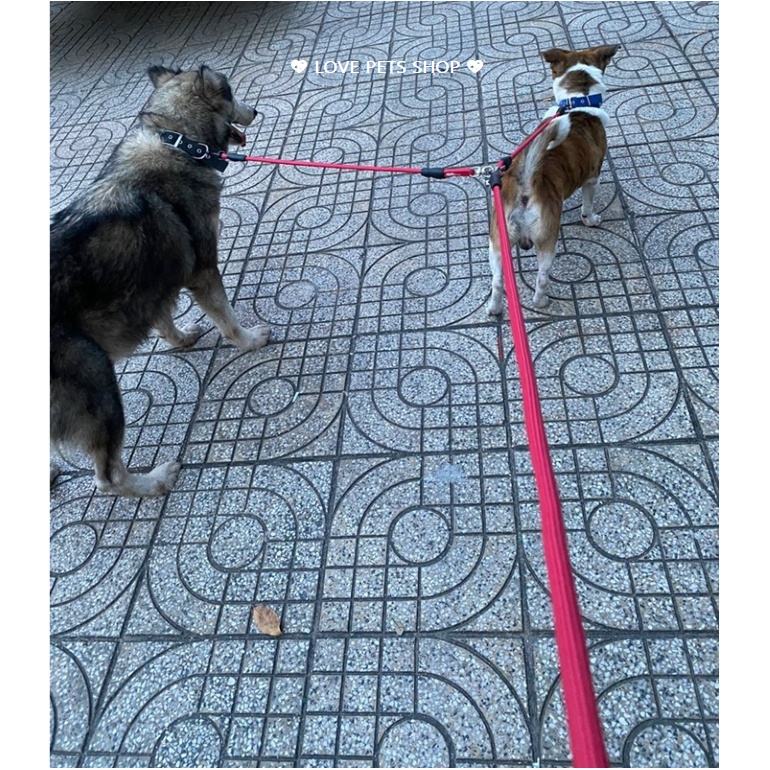 Vòng cổ cho Chó có đệm, vòng cổ K9 cho Chó - Love Pets Shop