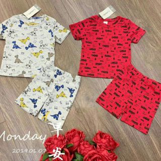 Combo 5 bộ carters bé trai ngẫu nhiên