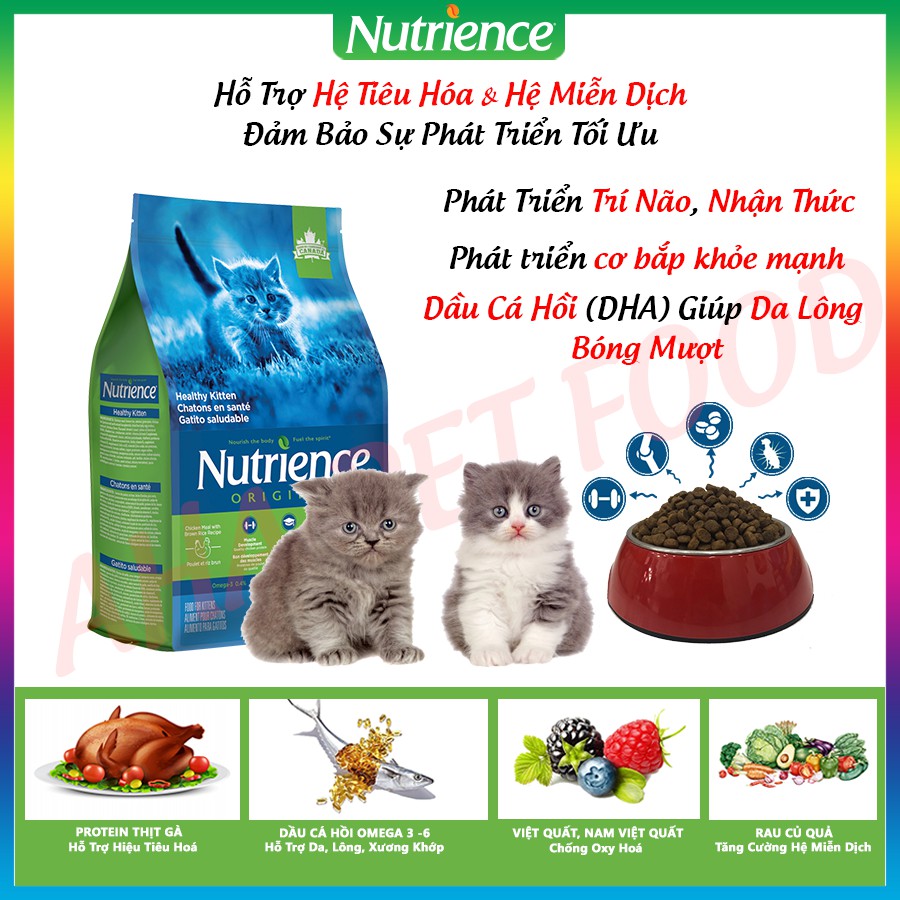 Thức Ăn Cho Mèo Con Nutrience Original Bao 2,5kg Phát Triển Trí Não - Thịt Gà, Dầu Cá Hồi DHA Giúp Da Lông Bóng Mượt