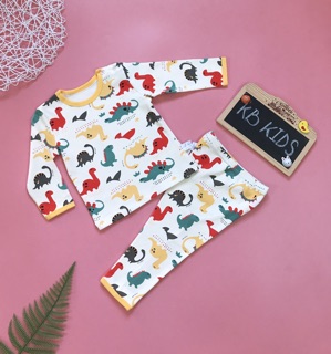 Combo 4 bộ dài tay cho bé