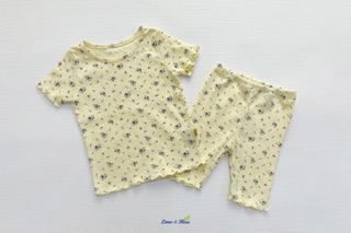 Bộ cộc Lime & blue made in korea