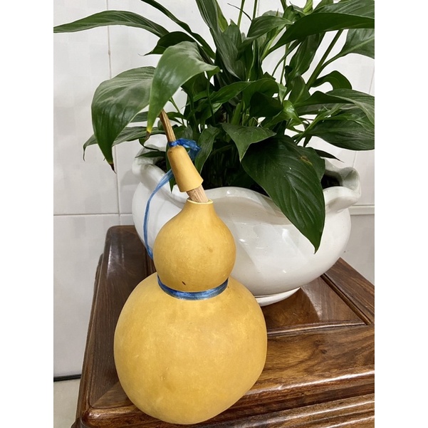 Bầu Hồ Lô.Bầu mini. Bầu hồ lô phong thuỷ , cầu con , thu hút tài lộc ,làm sạch hạt .