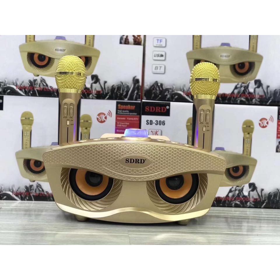 Loa karaoke blutooth kèm 2 mic Sd306
