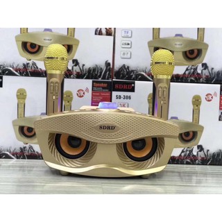 Loa karaoke blutooth kèm 2 mic Sd306