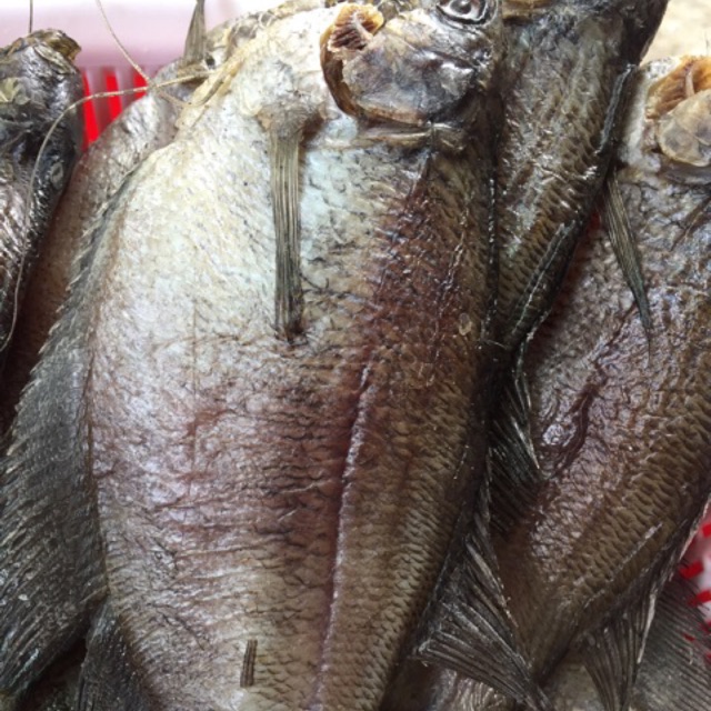 Khô cá sặc bỗi ( 12 con ) một ký