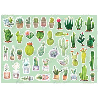 Hộp sticker Watercolor Cactus