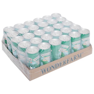 Thùng 30 lon trà bí đao Wonderfarm 240ml