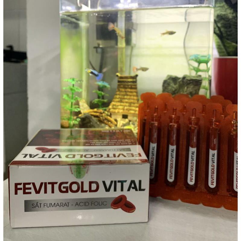 Fevitgold Vital bổ sung sắt và acid folic, giảm thiếu máu do thiếu sắt, hỗ trợ quá trình tạo máu