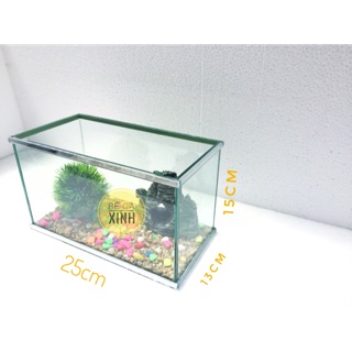 Bể cá mini viền gương