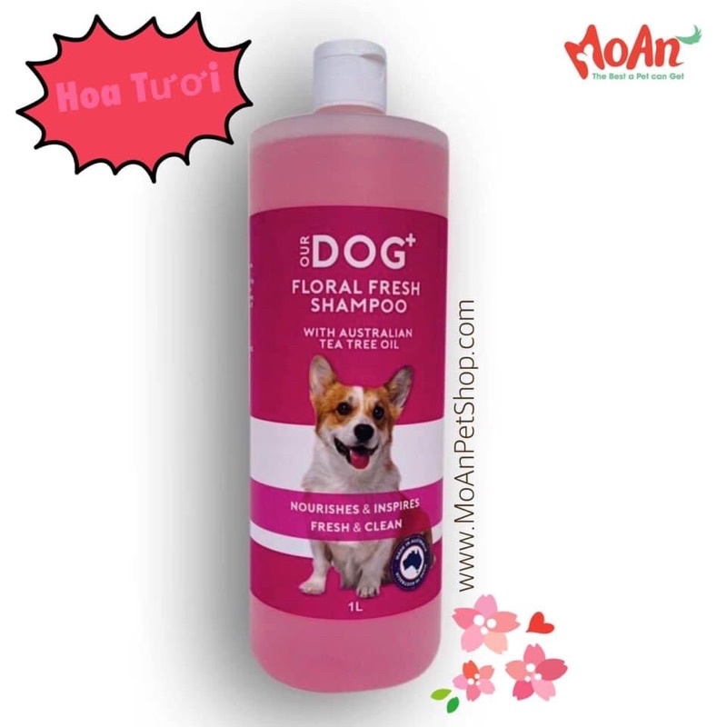 Sữa tắm #OurDog+ SIÊU TO, SIÊU TIẾT KIỆM 1L